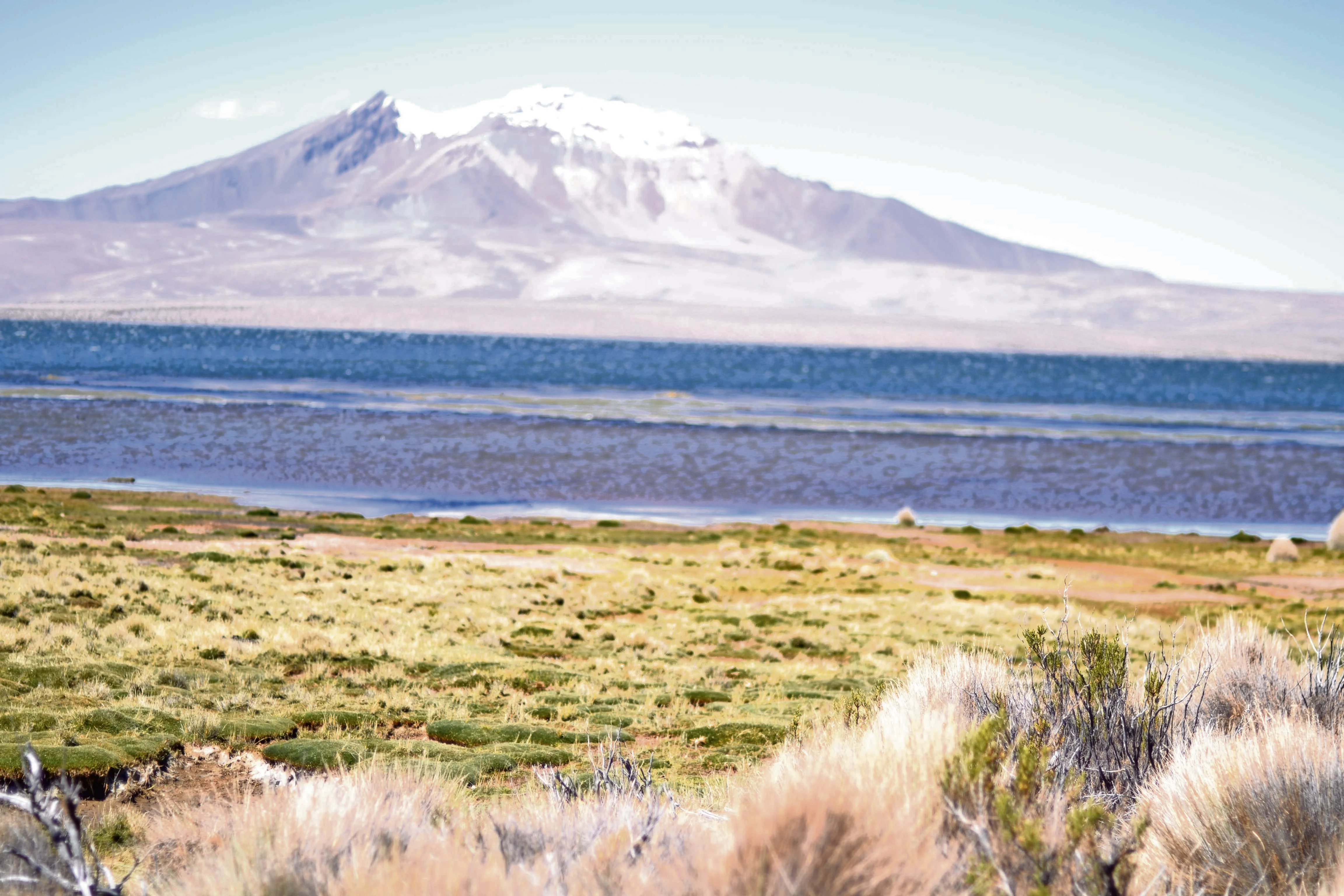 Alza del combustible presiona costos y márgenes del turismo en la región 